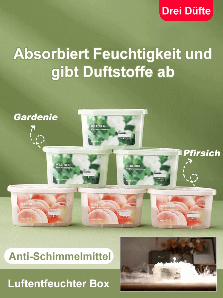 Luftentfeuchter Box Feuchtigkeitsabsorber Innenraum Anti-Schimmelmittel