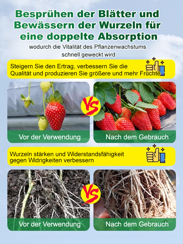 Nährlösung für Grünpflanzen zu Hause