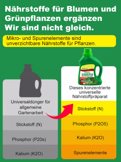 Nährlösung für Grünpflanzen zu Hause