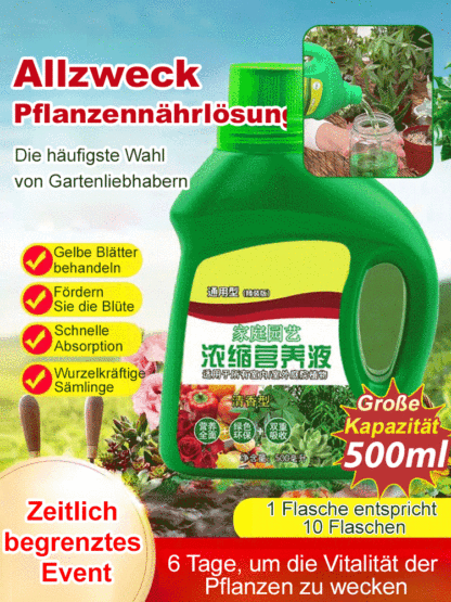 Nährlösung für Grünpflanzen zu Hause