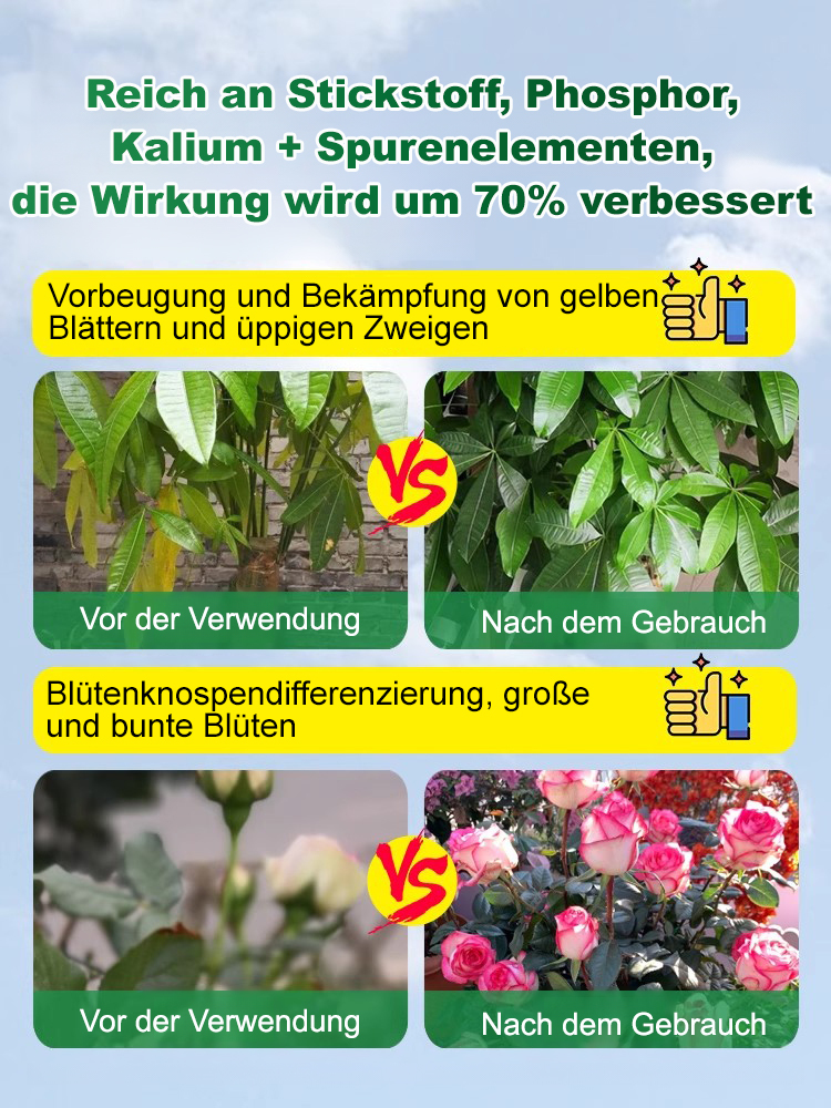 Nährlösung für Grünpflanzen zu Hause