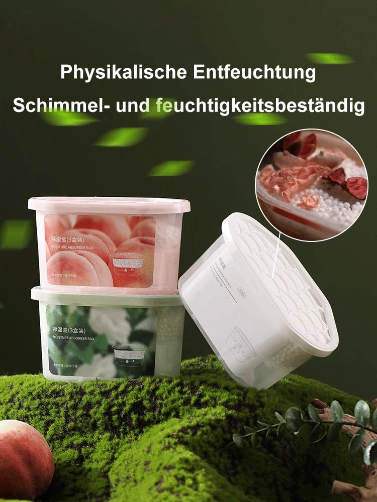 Luftentfeuchter Box Feuchtigkeitsabsorber Innenraum Anti-Schimmelmittel