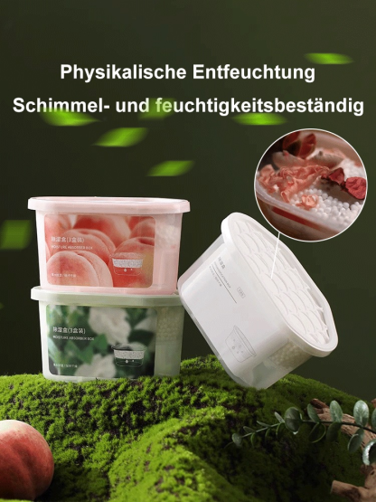 Luftentfeuchter Box Feuchtigkeitsabsorber Innenraum Anti-Schimmelmittel