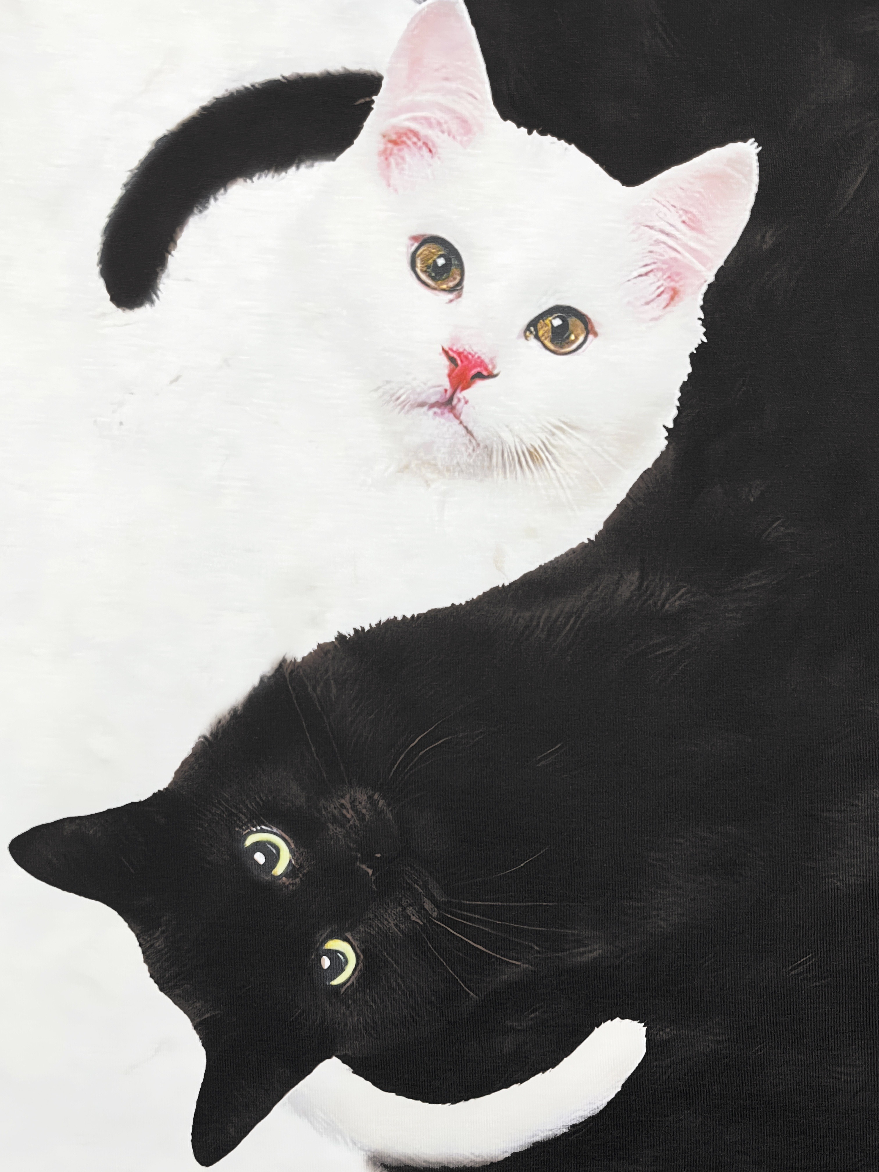 Cats Print V Neck T-shirt