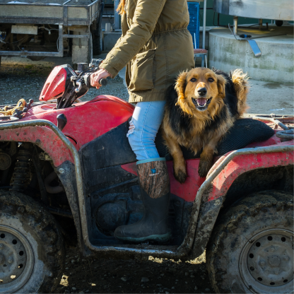 Trudave Tall Rubber Boots For Women With Steel Shank 