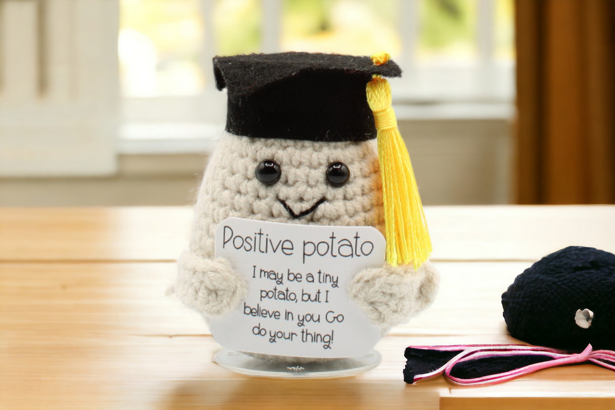 🎓Graduation Positive Pickle with Stand, Graduation Potato Keepsake, High School, College, PHD Grad Gifts.