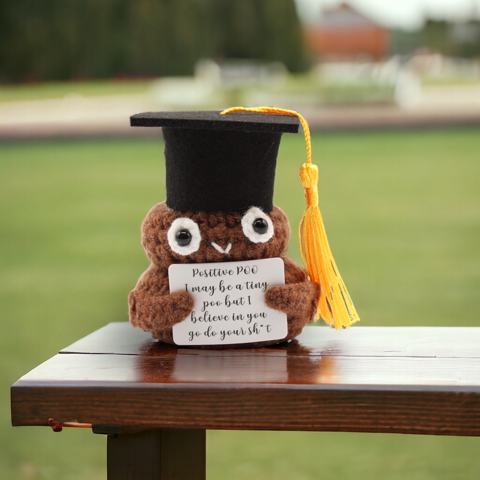 🎓Graduation Positive Pickle with Stand, Graduation Potato Keepsake, High School, College, PHD Grad Gifts.