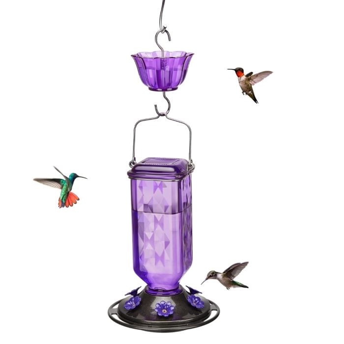Outdoors Hanging Hummingbird Feeders with Ant Moat & 6 Feeding Ports