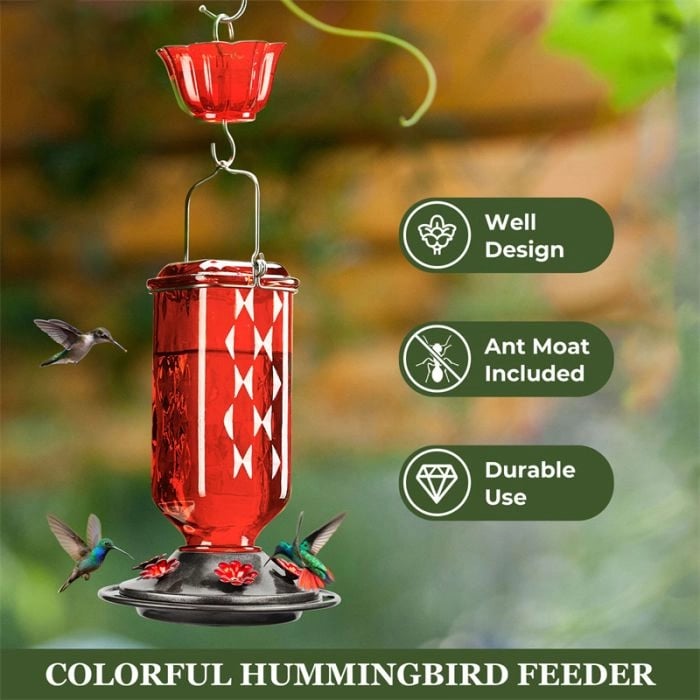 Outdoors Hanging Hummingbird Feeders with Ant Moat & 6 Feeding Ports
