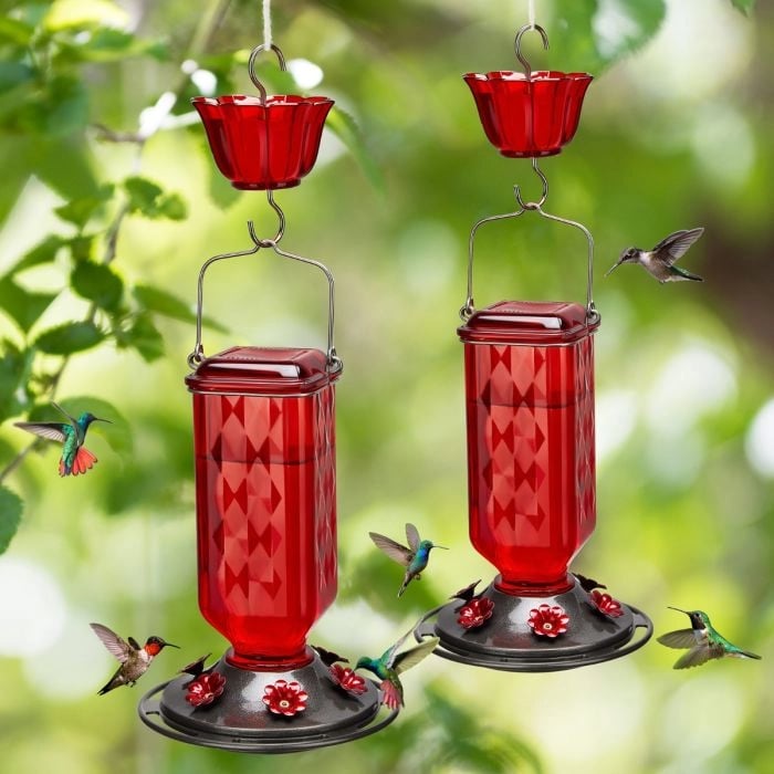 Outdoors Hanging Hummingbird Feeders with Ant Moat & 6 Feeding Ports