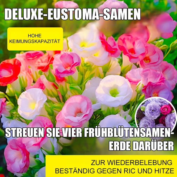 Premium-Lisianthus-Samen