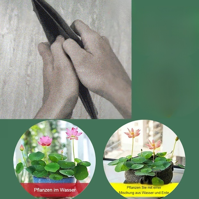 【Transport und Reichtum】Beobachten Sie die im Wasser wachsenden Muscheln