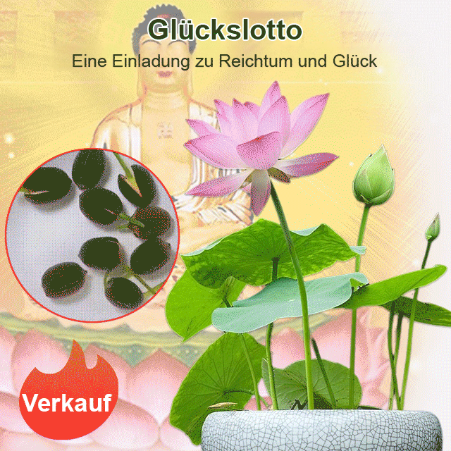 【Transport und Reichtum】Beobachten Sie die im Wasser wachsenden Muscheln