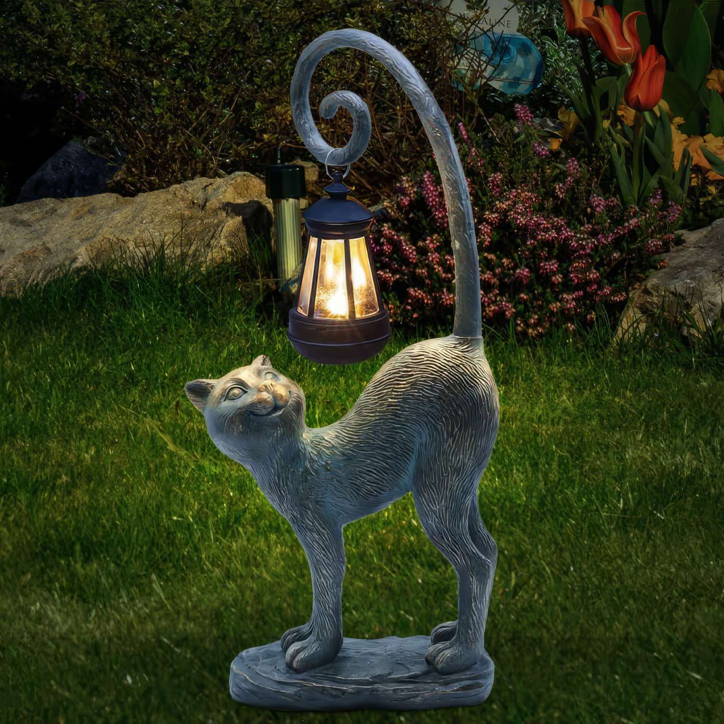 Whisker Wonder Cat