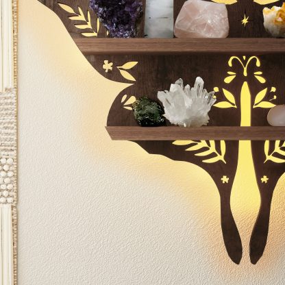 Enchanted Butterfly Shelf