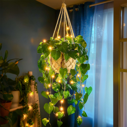 Boho Bloom Macrame Planter