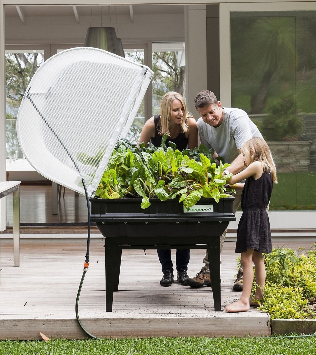 QVC Clearance, Buy 2 Get 2  Free💝Vegepod Self Watering Raised Garden Bed with Cover