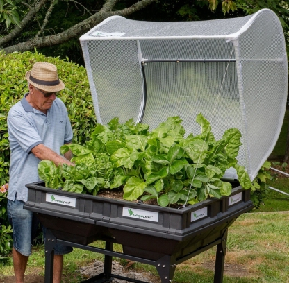 QVC Clearance, Buy 2 Get 2  Free💝Vegepod Self Watering Raised Garden Bed with Cover