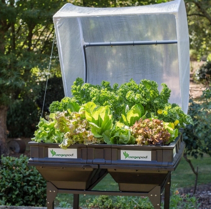QVC Clearance, Buy 2 Get 2  Free💝Vegepod Self Watering Raised Garden Bed with Cover