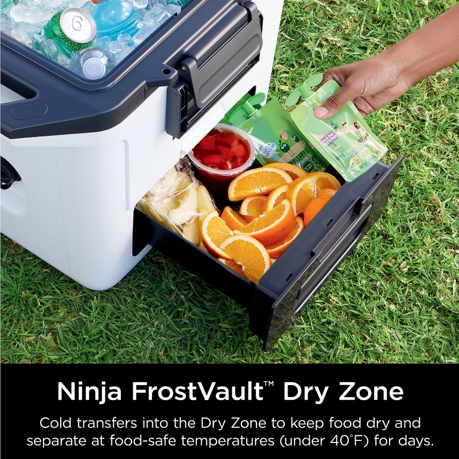 🎉Last day clearance sale💝✨ Buy 1 Get 1 Free ✨Ninja FrostVault 30Qt Hard Cooler w/ Dry Zone & Divider Insert