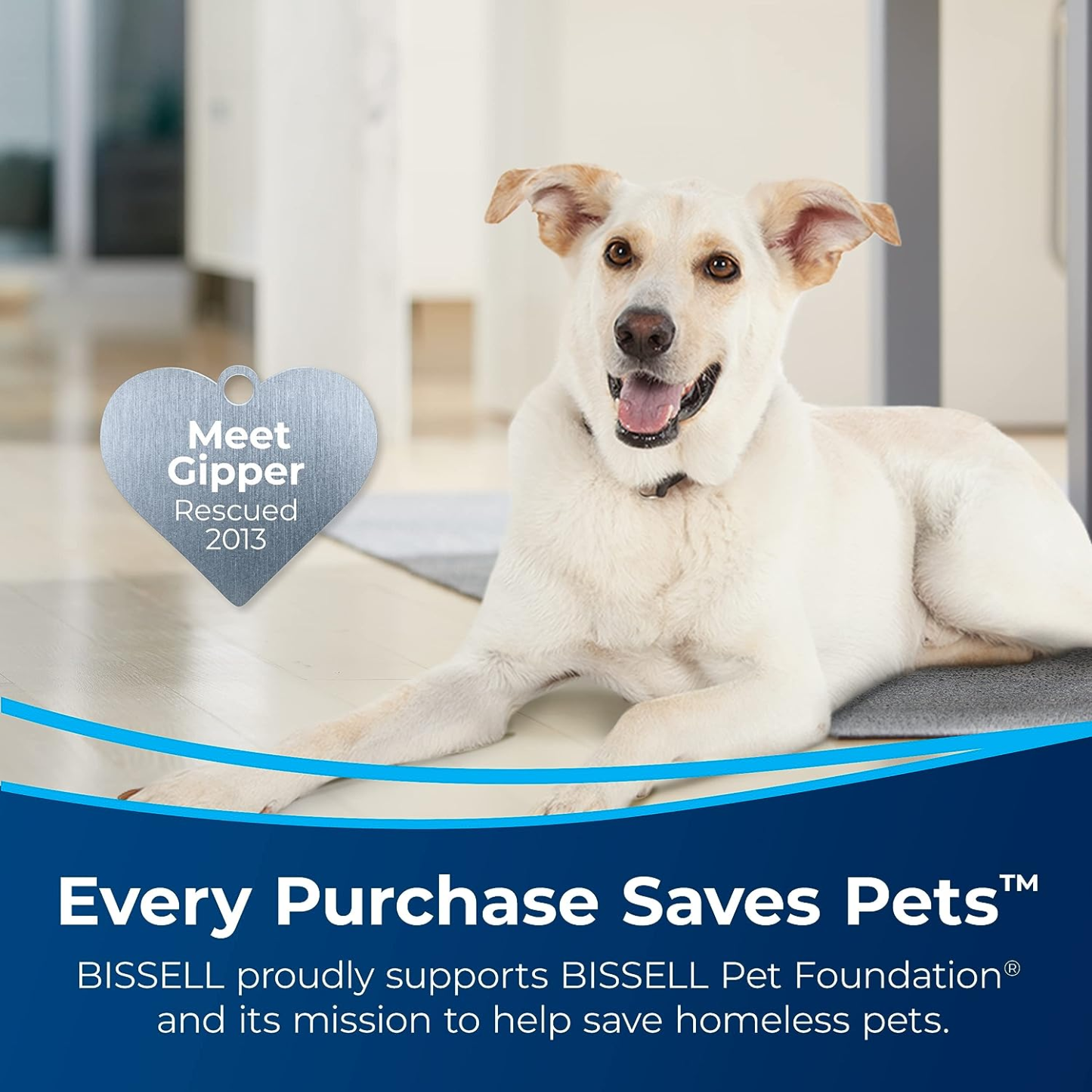 Soon to be sold out!!💝Last Day For Clearance,  Buy 1 Get 1 Free✨BISSELL CrossWave Floor and Area Rug Cleaner