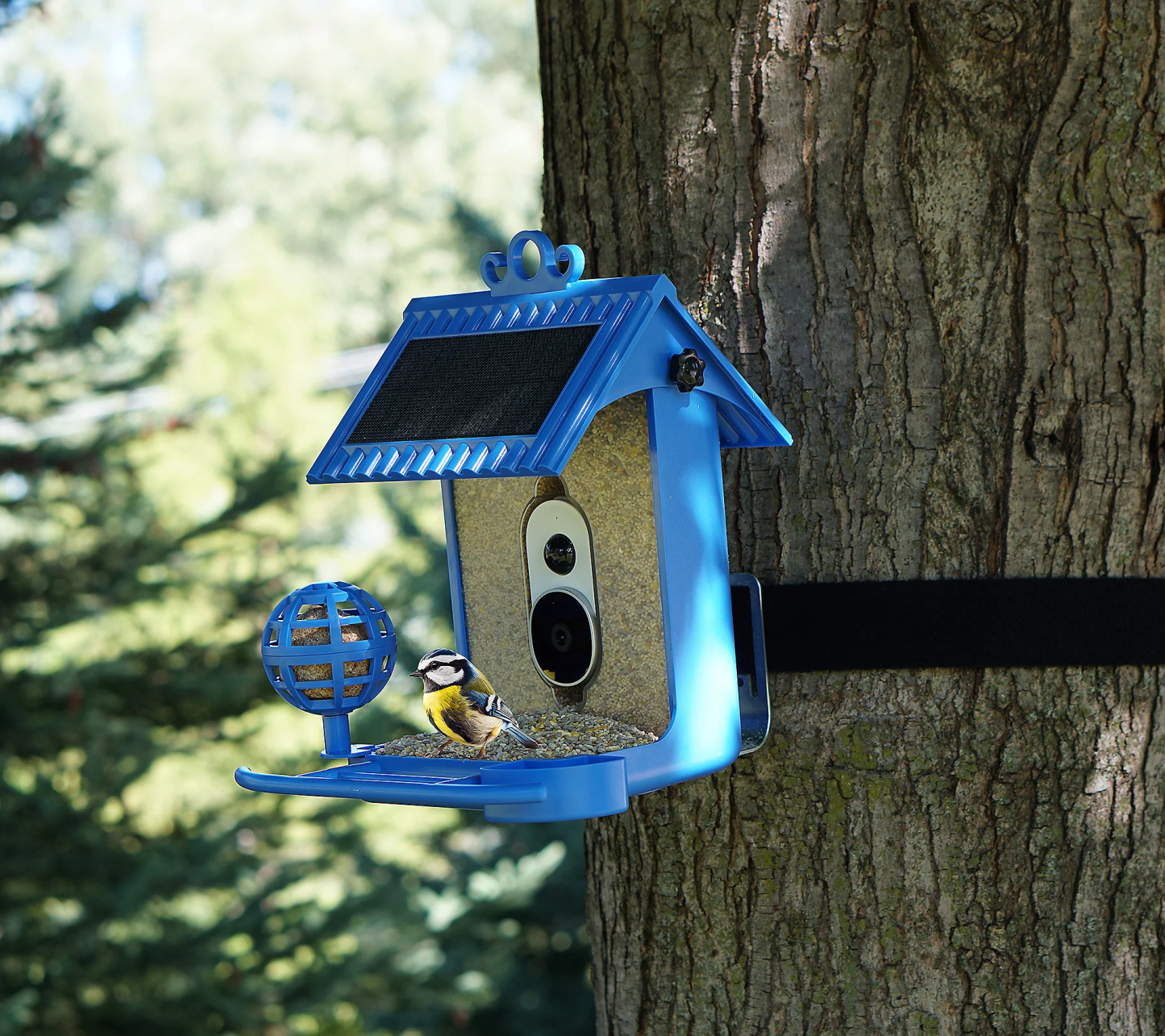 💝Buy 2 get the lowest-priced $20.00 USD off✨Hello Birdie Smart Bird Feeder with Solar Roof & Accessories