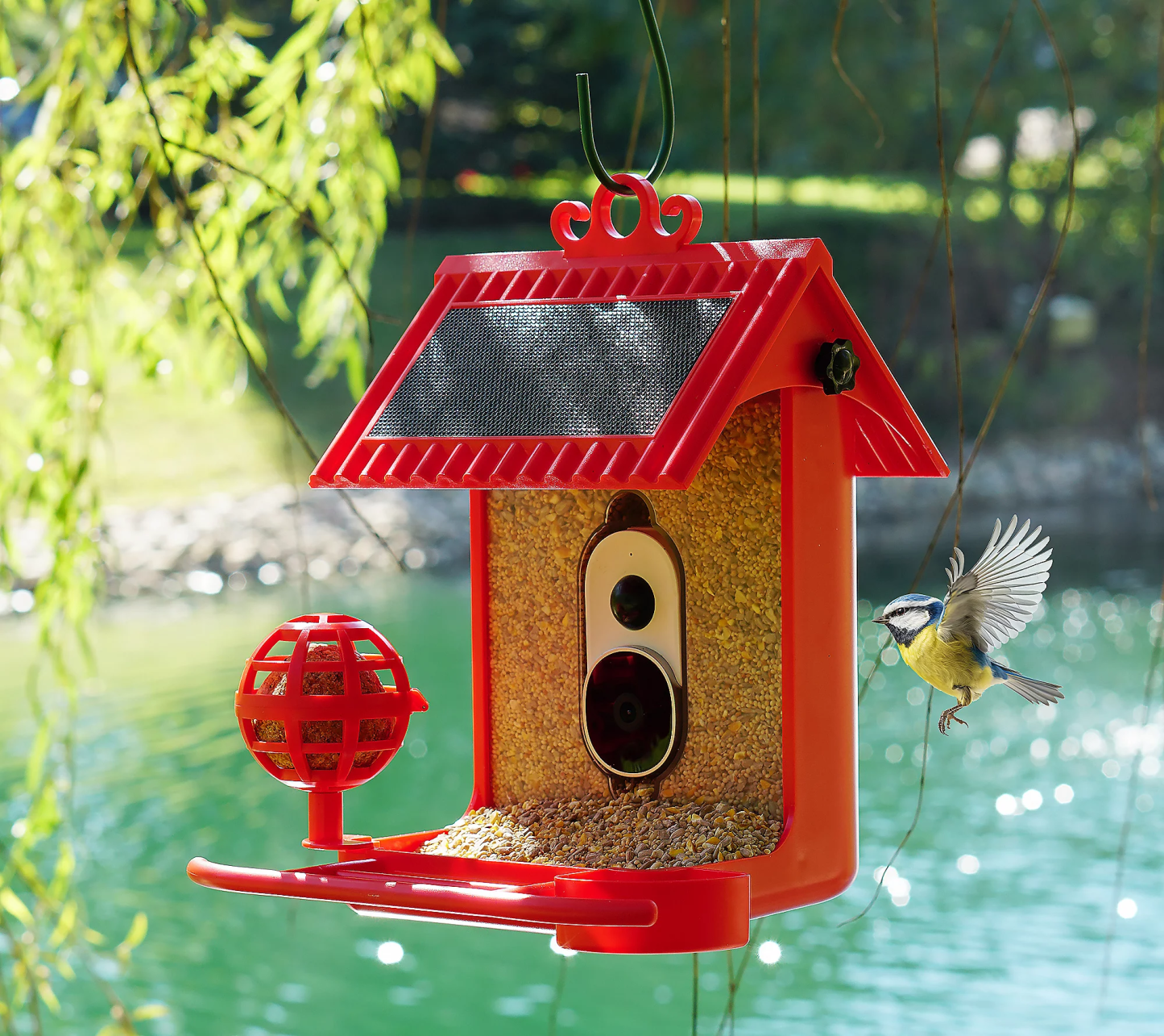 💝Buy 2 get the lowest-priced $20.00 USD off✨Hello Birdie Smart Bird Feeder with Solar Roof & Accessories