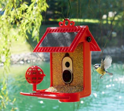 💝Buy 2 get the lowest-priced $20.00 USD off✨Hello Birdie Smart Bird Feeder with Solar Roof & Accessories