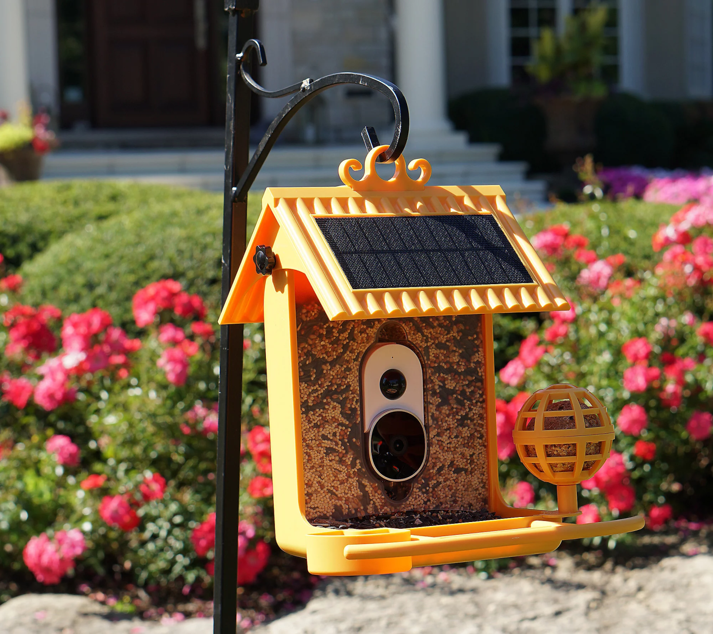 💝Buy 2 get the lowest-priced $20.00 USD off✨Hello Birdie Smart Bird Feeder with Solar Roof & Accessories