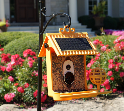 💝Buy 2 get the lowest-priced $20.00 USD off✨Hello Birdie Smart Bird Feeder with Solar Roof & Accessories