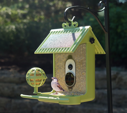 💝Buy 2 get the lowest-priced $20.00 USD off✨Hello Birdie Smart Bird Feeder with Solar Roof & Accessories