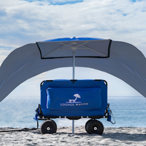 Beach Cart