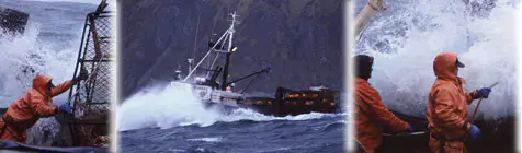 photos from fisheries