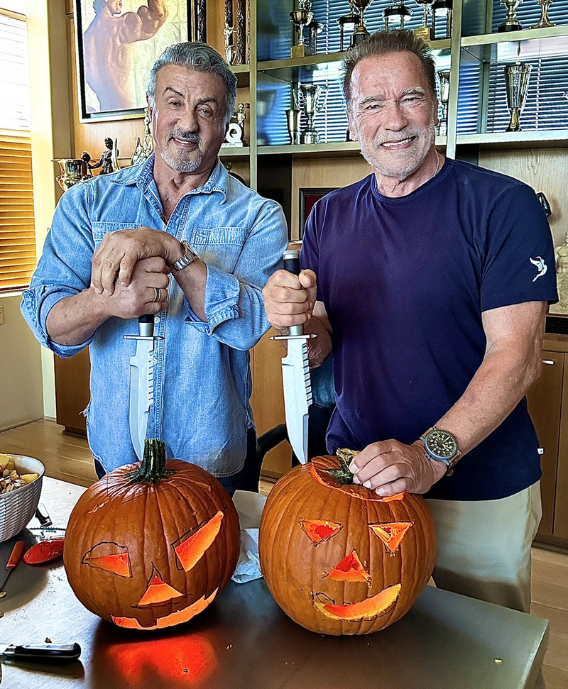 🔥Faca de comando de aço D2 feita à mão, faca de sobrevivência para acampamento e caminhada com bainha de couro (Arnold Schwarzenegger e Stallone recomendam faca de sobrevivência)