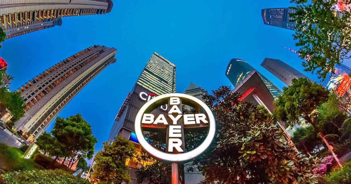 bayer_cross_em_xangai.jpg