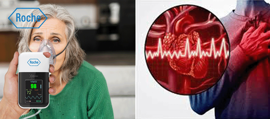 1724318642948597.gif 2.gif