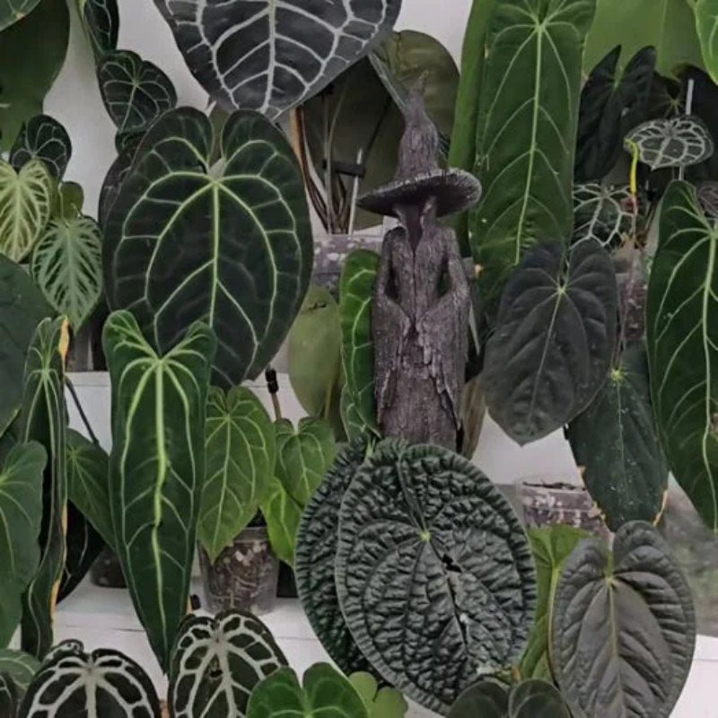 Hand-Painted Enchanting Witch Statue - The Guardian of Your Home