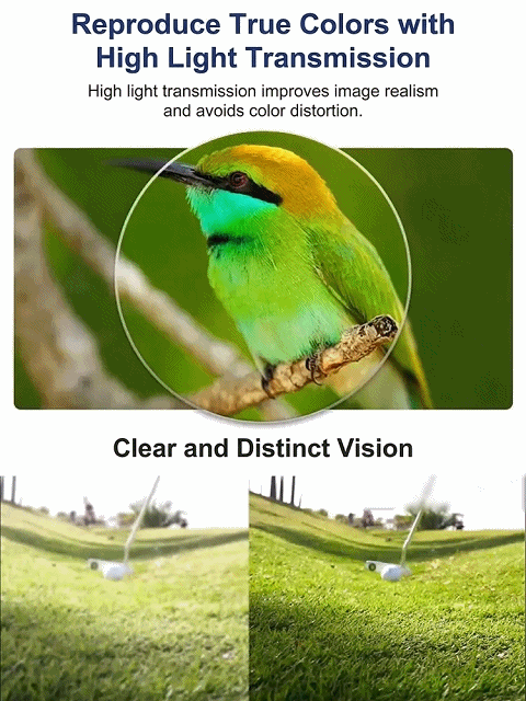 Luxury Reading Glasses Gift Box – Smart Progressive & Photochromic Lenses
