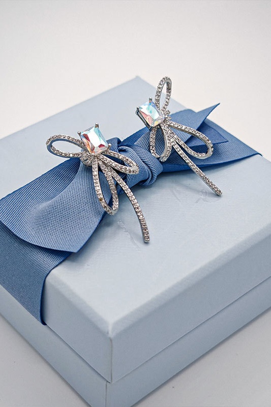 Bride Earrings Bride Beaded Earrings For Outfit Bride