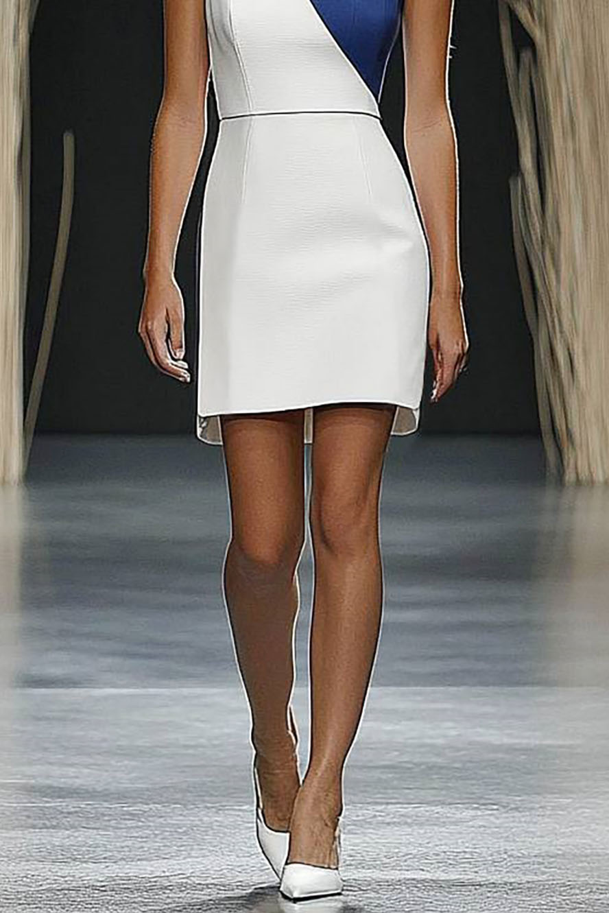 Date Party Dress Blue White Colorblock Round Neck Sleeveless Mini Dress