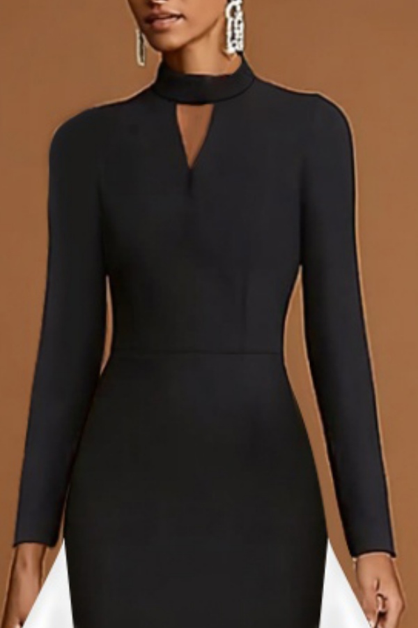 Formal Evening Dress Black White Stand Collar Ruffle Maxi Dress