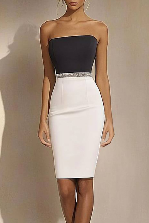 Party Dress Black and White Colorblock Silver Trimmed Bodycon Mini Dress