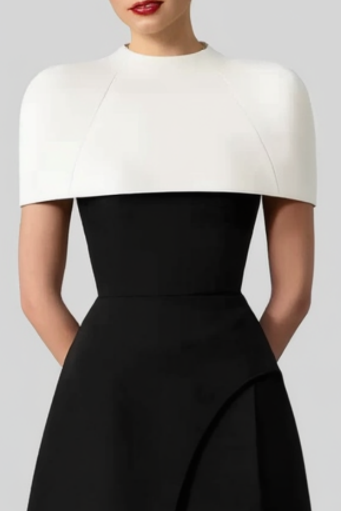 ​Business Dress​ Black White Stand Collar Maxi Dress