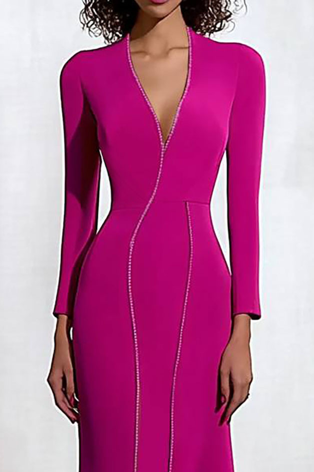 Evening Elegant Dress Rose Red Deep V Line Mermaid Long Sleeve Long Dress