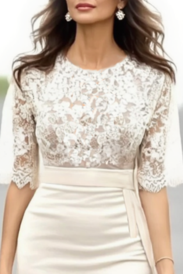 Work Dress Beige Crew Neck Lace Knee Sheath Dress