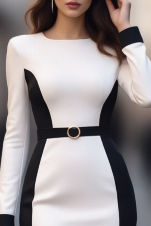 Work Dress Black White Crew Neck Long Sleeve Midi Dress