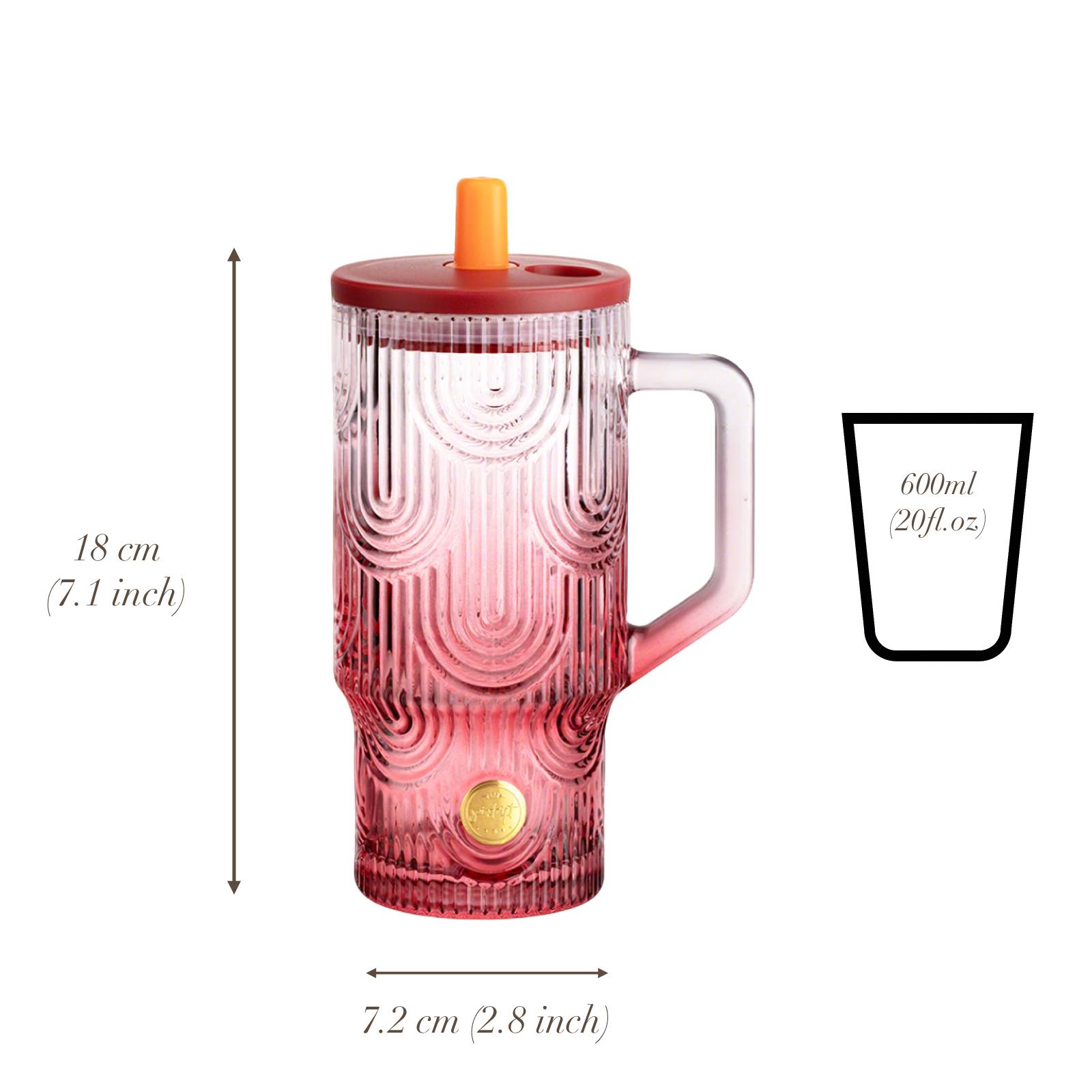 20oz Tumbler with Handle, Glass Cups with Lids and Straws, Leakproof, Bpa-Free