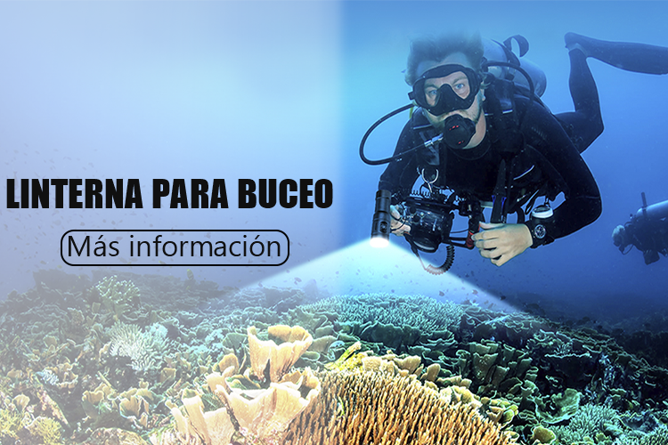 TORCIA SUBACQUEA-EStrustfire