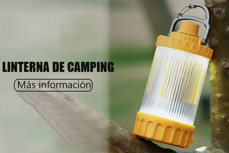 LUCE DA CAMPEGGIO-EStrustfire