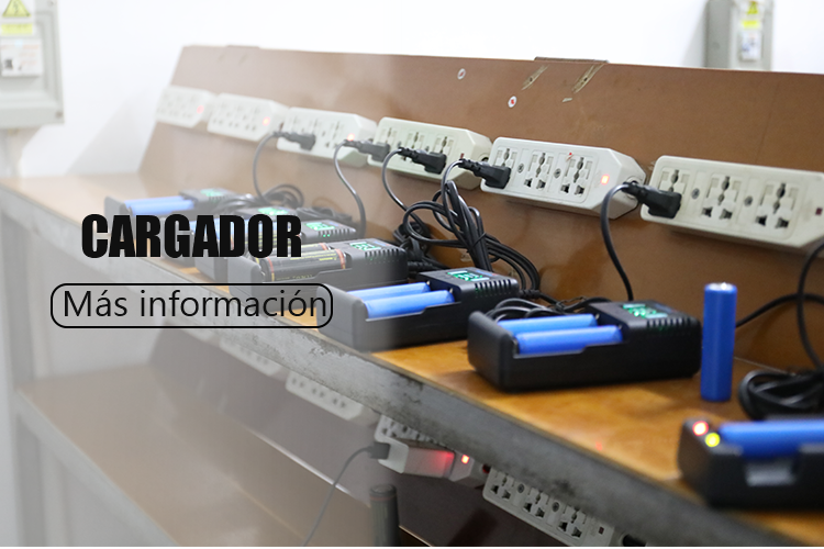 CARICABATTERIE-EStrustfire